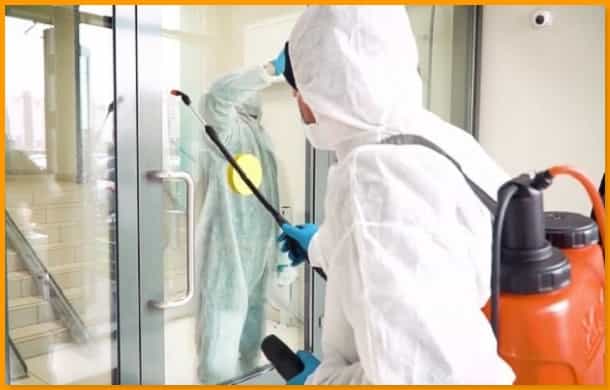 أفضل-شركة-رش-مبيدات-ومكافحة-حشرات-وتطهير-المنازل-في-السعودية
